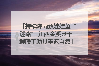 持续降雨致娃娃鱼“迷路” 江西金溪县干群联手助其重返自然