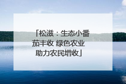 松滋：生态小番茄丰收 绿色农业助力农民增收