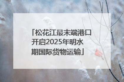 松花江最末端港口开启2025年明水期国际货物运输