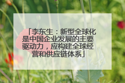 李东生：新型全球化是中国企业发展的主要驱动力，应构建全球经营和供应链体系