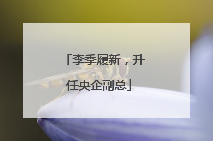 李季履新，升任央企副总