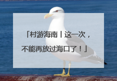 村游海南丨这一次，不能再放过海口了！