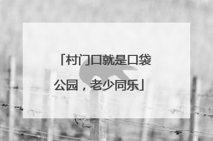 村门口就是口袋公园，老少同乐