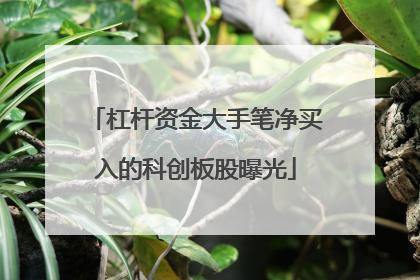 杠杆资金大手笔净买入的科创板股曝光