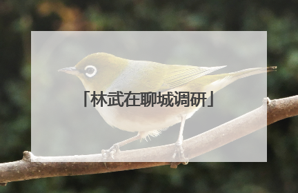 林武在聊城调研