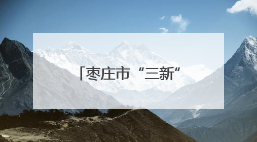 枣庄市“三新”领域妇联组织领头雁素质能力提升培训班开班