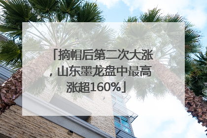 摘帽后第二次大涨，山东墨龙盘中最高涨超160%