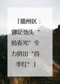 播州区：铆足劲头“抢春光”全力拼出“首季红”