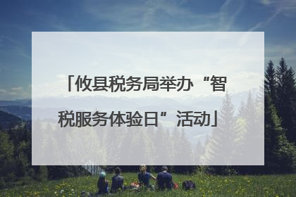 攸县税务局举办“智税服务体验日”活动