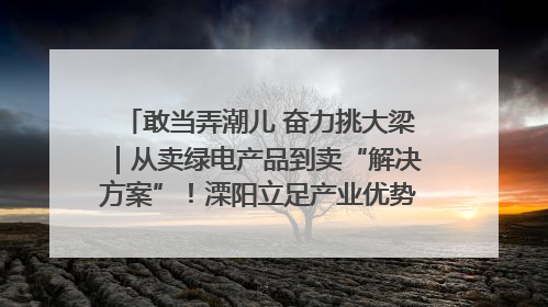 敢当弄潮儿 奋力挑大梁｜从卖绿电产品到卖“解决方案”！溧阳立足产业优势建成五大微电网示范项目
