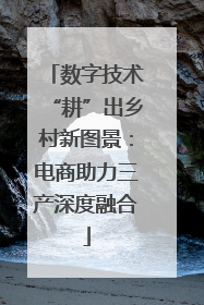 数字技术“耕”出乡村新图景：电商助力三产深度融合