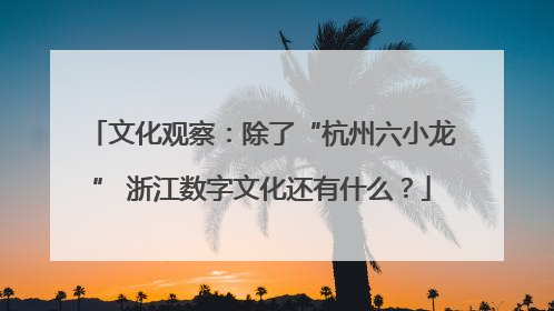 文化观察：除了“杭州六小龙” 浙江数字文化还有什么？
