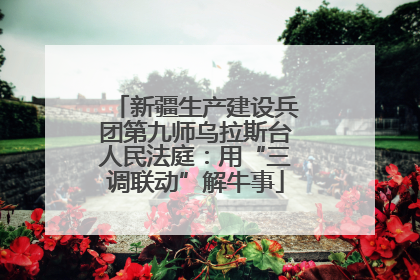 新疆生产建设兵团第九师乌拉斯台人民法庭：用“三调联动”解牛事