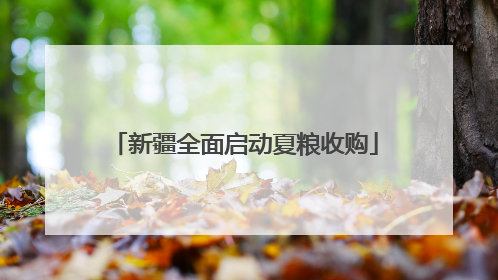 新疆全面启动夏粮收购