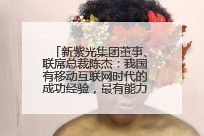 新紫光集团董事、联席总裁陈杰：我国有移动互联网时代的成功经验，最有能力做好AI应用创新