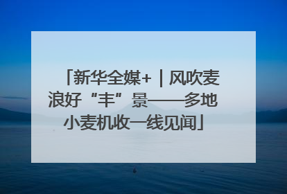 新华全媒+｜风吹麦浪好“丰”景——多地小麦机收一线见闻