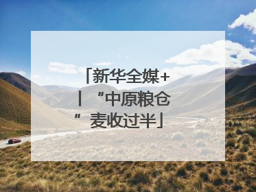 新华全媒+丨“中原粮仓”麦收过半