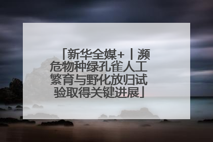 新华全媒+丨濒危物种绿孔雀人工繁育与野化放归试验取得关键进展
