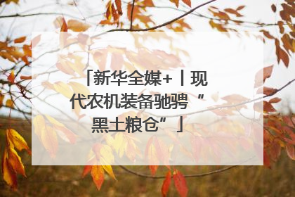 新华全媒+丨现代农机装备驰骋“黑土粮仓”