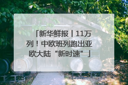 新华鲜报丨11万列！中欧班列跑出亚欧大陆“新时速”