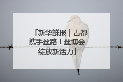 新华鲜报｜古都携手丝路！丝博会绽放新活力