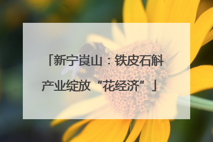 新宁崀山：铁皮石斛产业绽放“花经济”