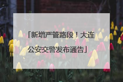 新增严管路段！大连公安交警发布通告