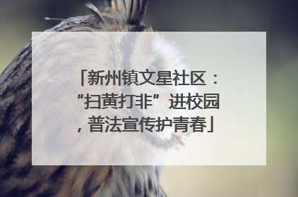 新州镇文星社区：“扫黄打非”进校园，普法宣传护青春