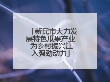 新民市大力发展特色瓜果产业 为乡村振兴注入强劲动力