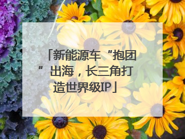 新能源车“抱团”出海，长三角打造世界级IP