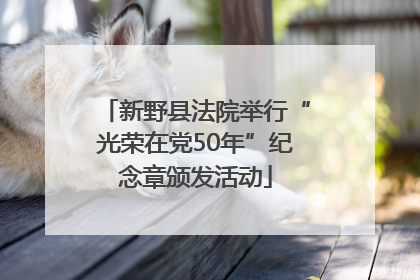 新野县法院举行“光荣在党50年”纪念章颁发活动