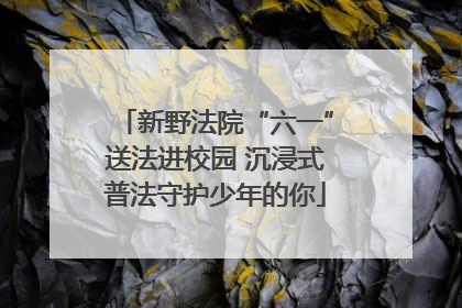 新野法院“六一”送法进校园 沉浸式普法守护少年的你