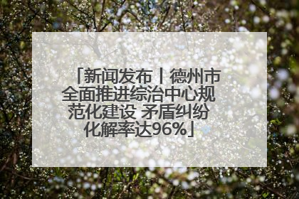 新闻发布丨德州市全面推进综治中心规范化建设 矛盾纠纷化解率达96%