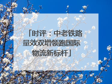 时评：中老铁路量效双增领跑国际物流新标杆