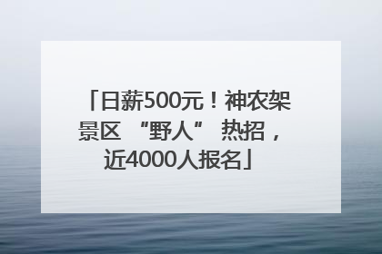 日薪500元！神农架景区 “野人” 热招，近4000人报名