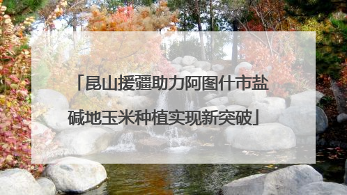 昆山援疆助力阿图什市盐碱地玉米种植实现新突破