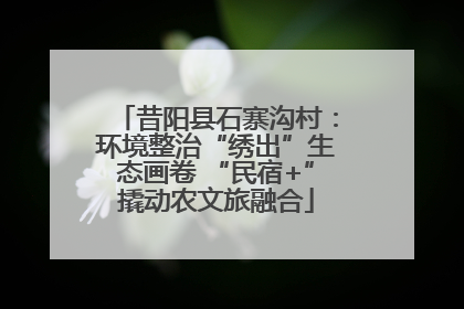 昔阳县石寨沟村：环境整治“绣出”生态画卷 “民宿+”撬动农文旅融合
