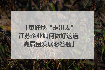 更好地“走出去” 江苏企业如何做好这道高质量发展必答题