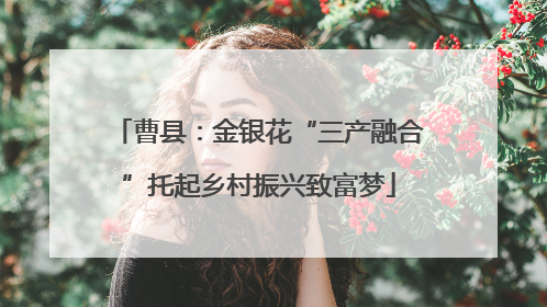 曹县：金银花“三产融合”托起乡村振兴致富梦