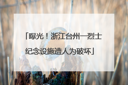曝光！浙江台州一烈士纪念设施遭人为破坏