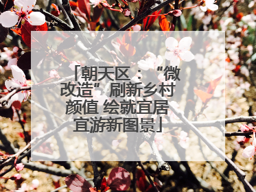 朝天区：“微改造”刷新乡村颜值 绘就宜居宜游新图景