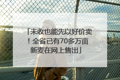 未收也能先以好价卖！全省已有70多万亩新麦在网上售出