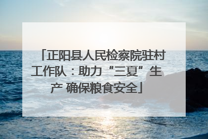 正阳县人民检察院驻村工作队：助力“三夏”生产 确保粮食安全