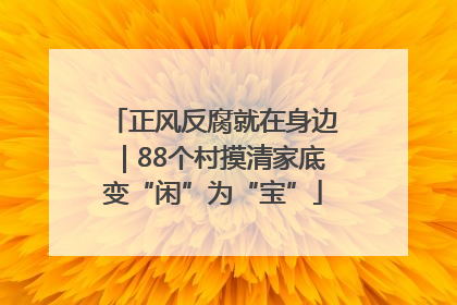 正风反腐就在身边｜88个村摸清家底变“闲”为“宝”