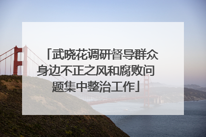 武晓花调研督导群众身边不正之风和腐败问题集中整治工作