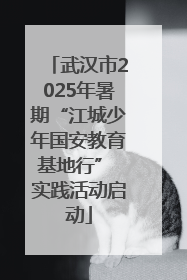 武汉市2025年暑期“江城少年国安教育基地行” 实践活动启动