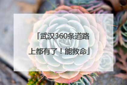 武汉360条道路上都有了！能救命
