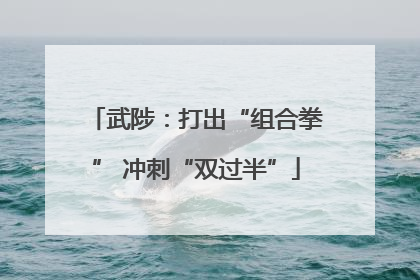 武陟：打出“组合拳” 冲刺“双过半”