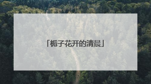 栀子花开的清晨