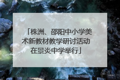 株洲、邵阳中小学美术新教材教学研讨活动在景炎中学举行